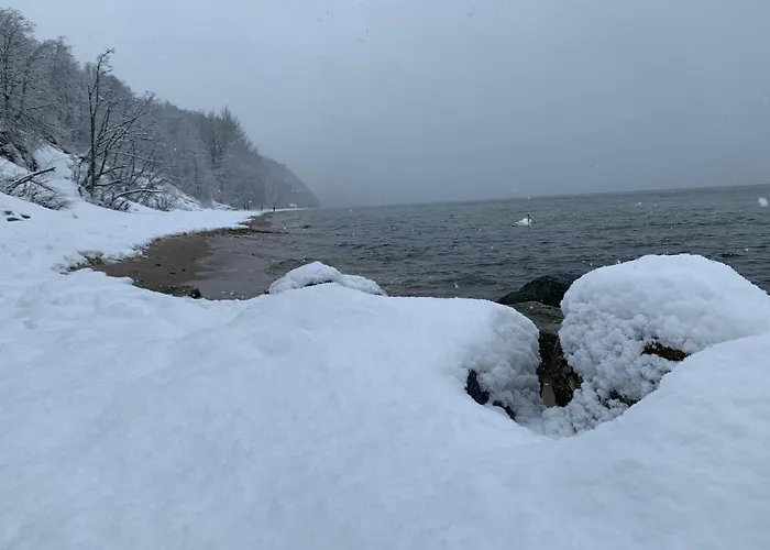 Cisza & Spoko! - Acco Rent * Gdynia